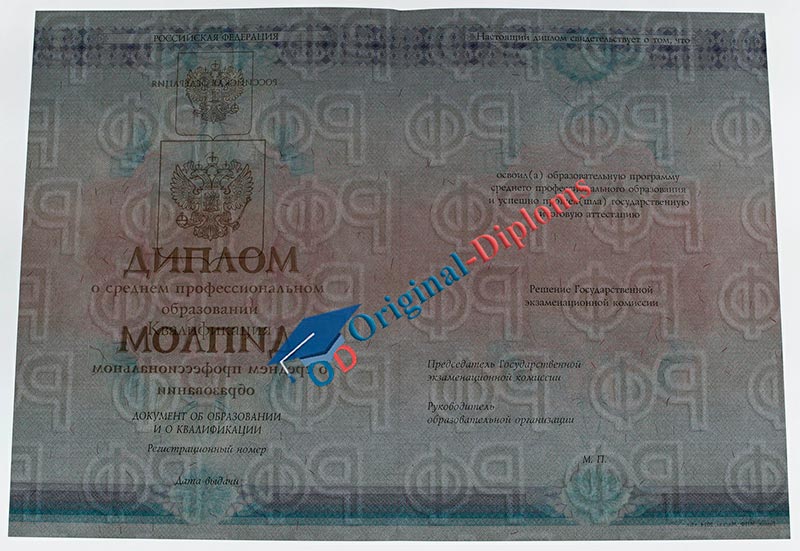 Диплом техникума, колледжа 2014-2026